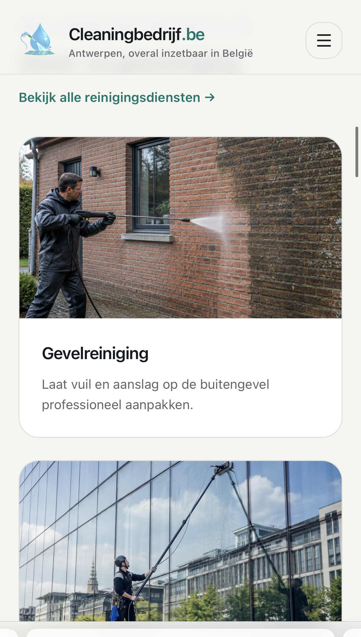 Website platform schoonmaak met sterke domeinnaam te koop — foto 1