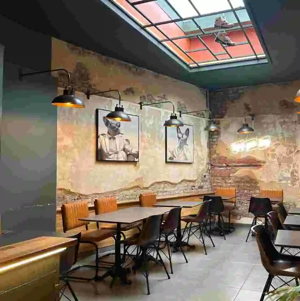 Burger & hotdog in NY-stijl | 38 plaatsen, nieuw materiaal — foto 1