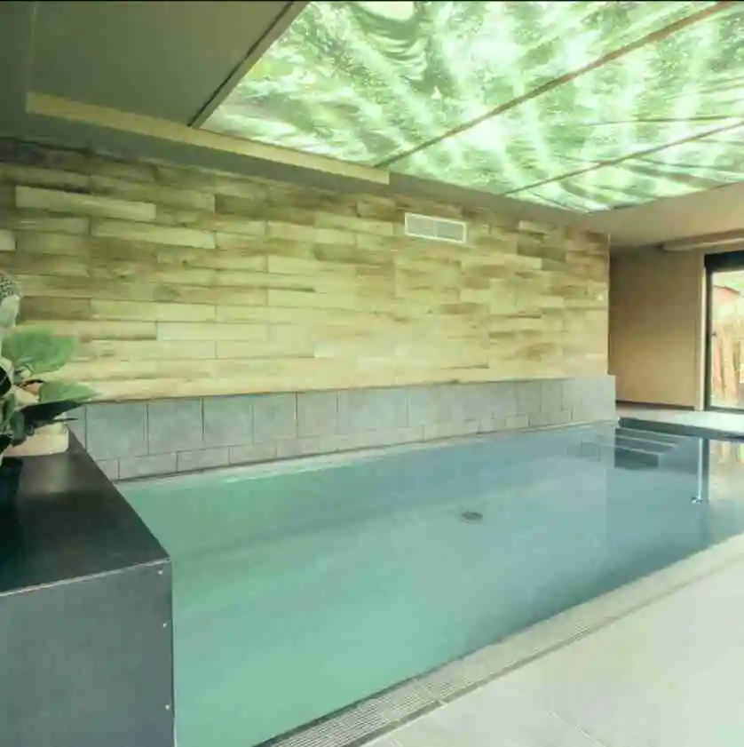 Uitzonderlijk Wellnesscentrum | Toplocatie nabij Franse grens