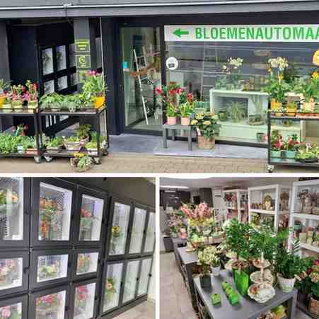 Bloemenzaak | Vast cliënteel | Webshop & automaat