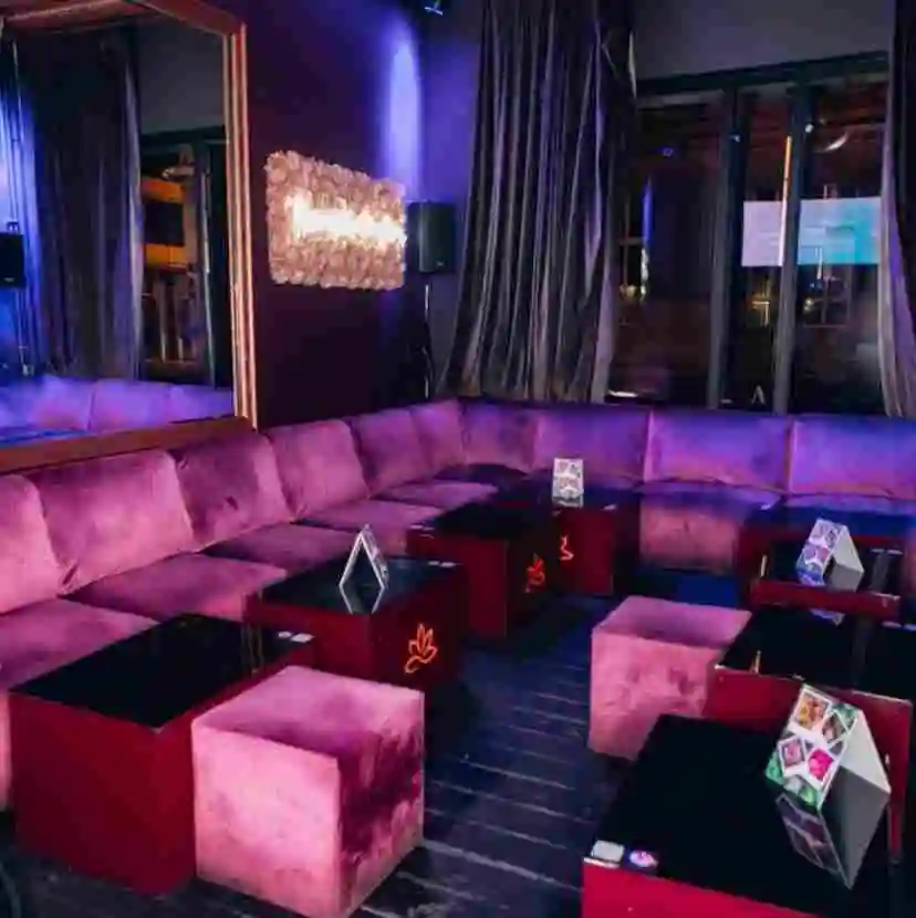 Loungebar & nachtzakenconcept over te nemen in Brussel — foto 1
